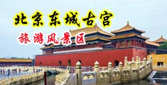 逼逼插中国北京-东城古宫旅游风景区